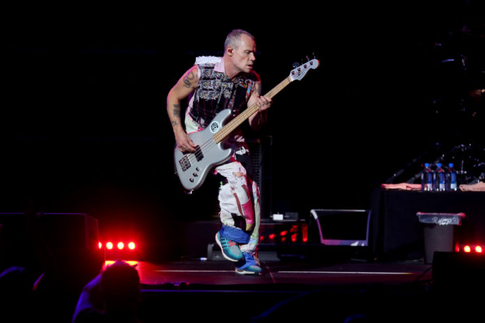 Red Hot Chili Peppers's bassist Flea