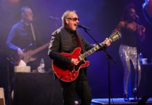 Elvis Costello Shares a Statement After Being Awarded an O.B.E