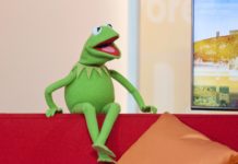 A Surprise at Newport Folk Festival 2019: Kermit the Frog