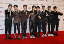 Stray Kids Plan to Release 2 New Albums & Embark on a World Tour in 2024 K-pop group Stray Kids at the red carpet event for 2022 AAA in 2022